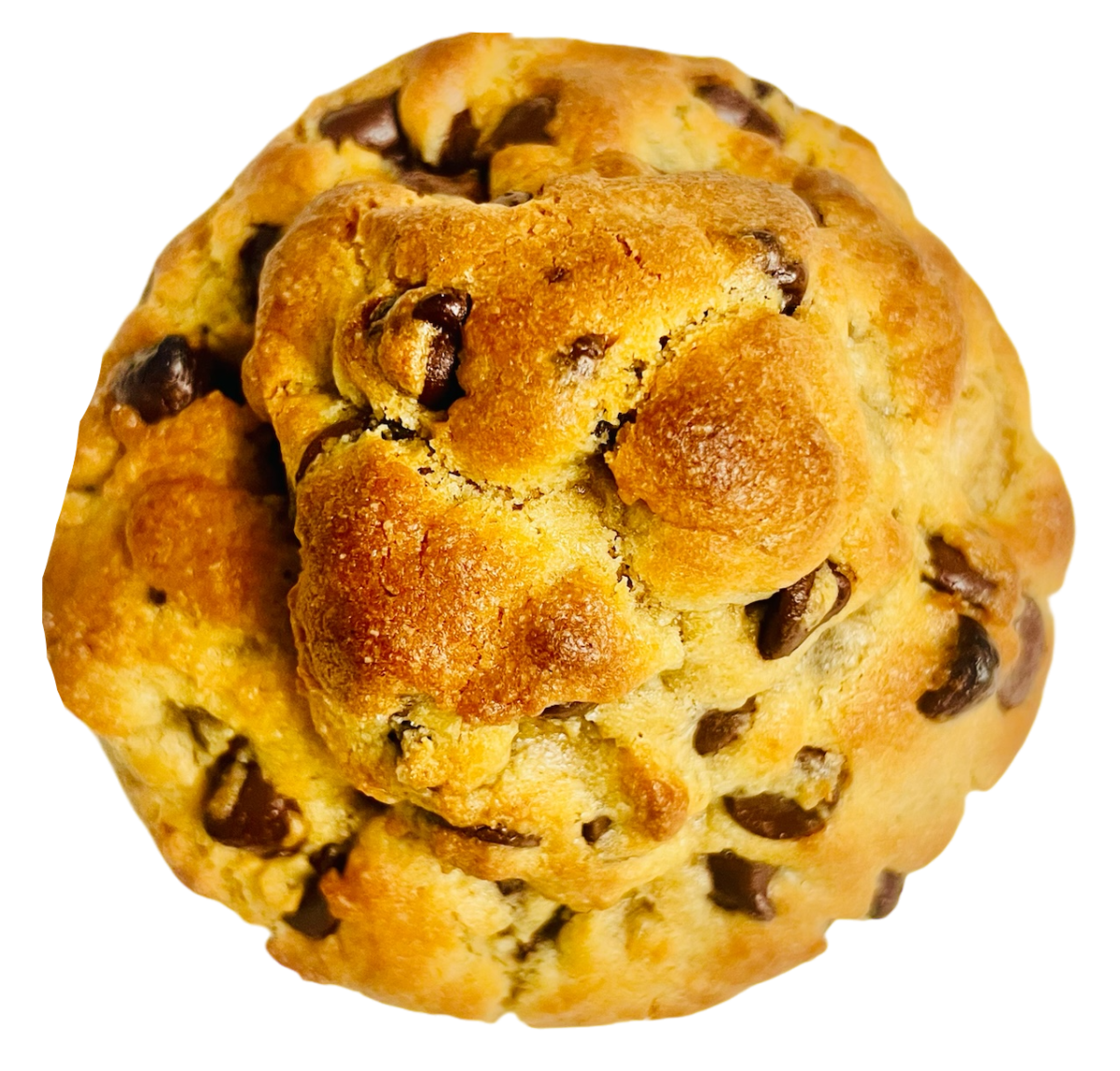 Chocolate Chip Classic